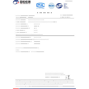 國(guó)檢報(bào)告